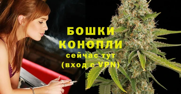 мяу мяу мука Ельня