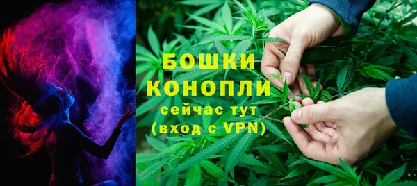 мяу мяу мука Ельня