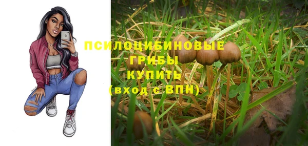 дурь Елизово
