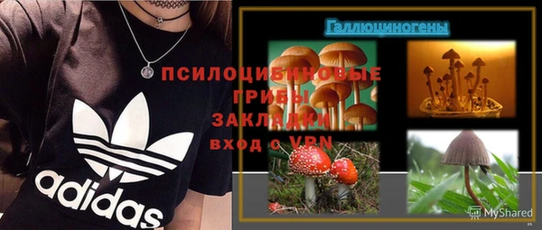 дурь Елизово